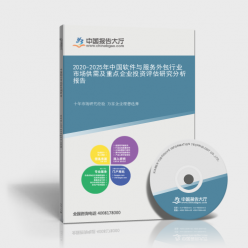 2020-2025年中國軟件與服務(wù)外包行業(yè)市場供需及重點企業(yè)投資評估研究分析