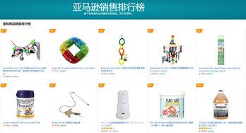 英語西班牙語外包客服助力寵物產品跨境電商提升客戶滿意度，挺進美國市場